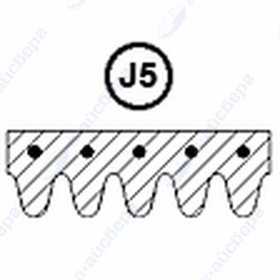 Ремень 1254 J5 481235818157 1.11.010.15